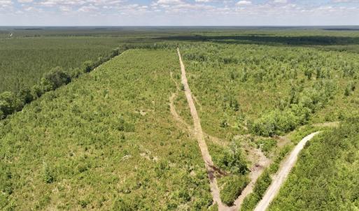 Photo #35 of Off Guinea Mill Rd, Ernul, NC 461.4 acres