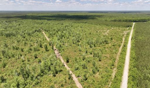 Photo #36 of Off Guinea Mill Rd, Ernul, NC 461.4 acres