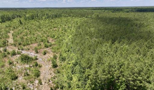 Photo #37 of Off Guinea Mill Rd, Ernul, NC 461.4 acres