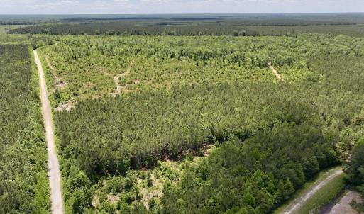 Photo #38 of Off Guinea Mill Rd, Ernul, NC 461.4 acres
