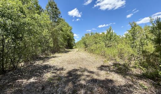 Photo #39 of Off Guinea Mill Rd, Ernul, NC 461.4 acres