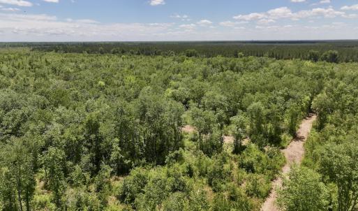 Photo #4 of Off Guinea Mill Rd, Ernul, NC 461.4 acres