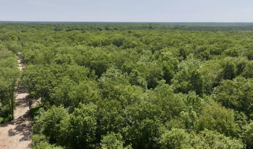Photo #41 of Off Guinea Mill Rd, Ernul, NC 461.4 acres