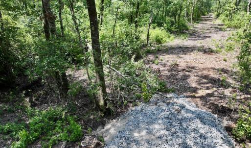 Photo #46 of Off Guinea Mill Rd, Ernul, NC 461.4 acres