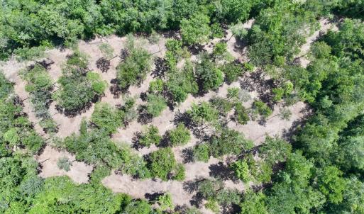 Photo #47 of Off Guinea Mill Rd, Ernul, NC 461.4 acres