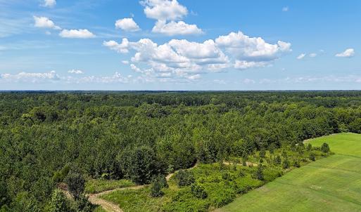 Photo #12 of Off of Reed Rd, South Hill, VA 59.6 acres