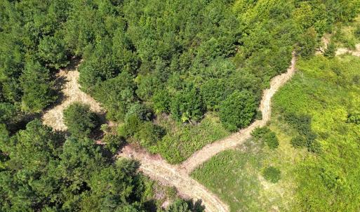 Photo #13 of Off of Reed Rd, South Hill, VA 59.6 acres