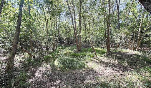 Photo #17 of Off of Reed Rd, South Hill, VA 59.6 acres