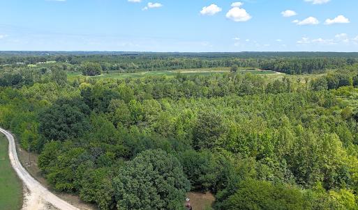 Photo #7 of Off of Reed Rd, South Hill, VA 59.6 acres