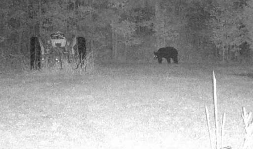 Photo #9 of Off of Reed Rd, South Hill, VA 59.6 acres