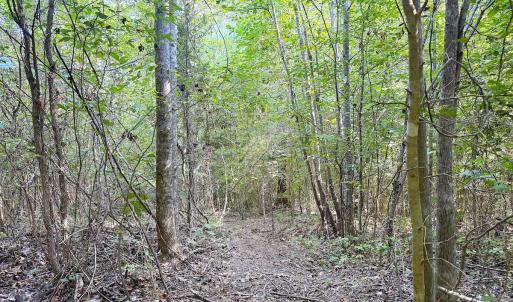 Photo #22 of Off of Reed Rd, South Hill, VA 59.6 acres