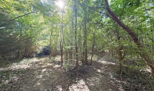 Photo #23 of Off of Reed Rd, South Hill, VA 59.6 acres