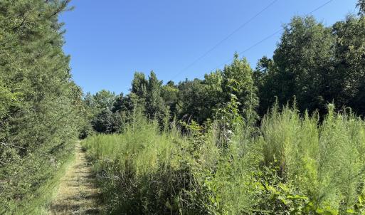 Photo #24 of Off of Reed Rd, South Hill, VA 59.6 acres