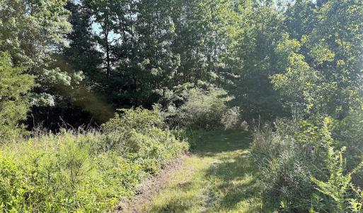 Photo #25 of Off of Reed Rd, South Hill, VA 59.6 acres