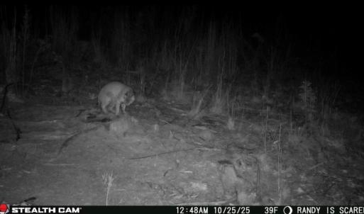 Photo #26 of Off of Reed Rd, South Hill, VA 59.6 acres