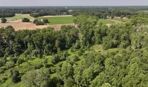 Photo #10 of Lot 2 Mobley Rd, Lucama, NC 12.8 acres