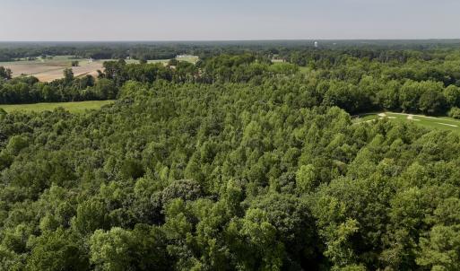 Photo #11 of Lot 2 Mobley Rd, Lucama, NC 12.8 acres