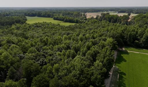 Photo #12 of Lot 2 Mobley Rd, Lucama, NC 12.8 acres