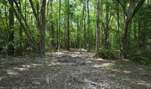 Photo #15 of Lot 2 Mobley Rd, Lucama, NC 12.8 acres