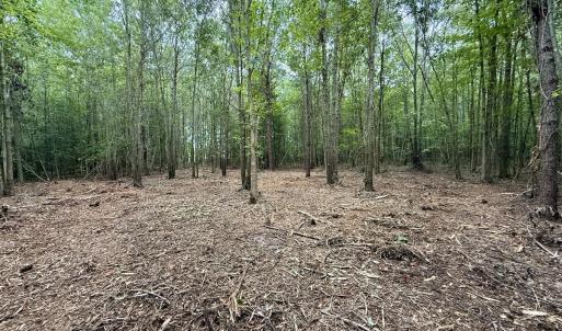 Photo #4 of Lot 2 Mobley Rd, Lucama, NC 12.8 acres