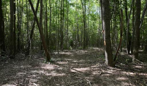 Photo #6 of Lot 2 Mobley Rd, Lucama, NC 12.8 acres