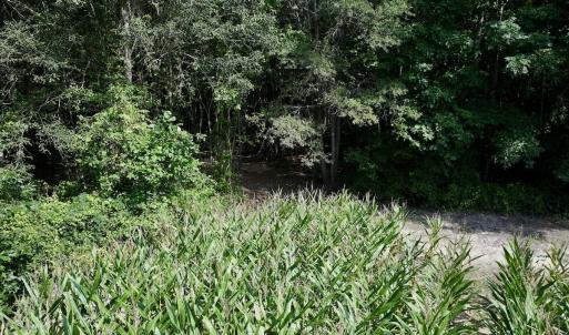 Photo #8 of Lot 2 Mobley Rd, Lucama, NC 12.8 acres