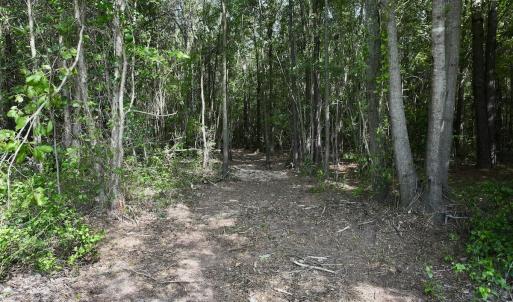 Photo #9 of Lot 2 Mobley Rd, Lucama, NC 12.8 acres
