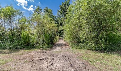 Photo #38 of 820 Thomas Rd, Rocky Mount, NC 6.9 acres