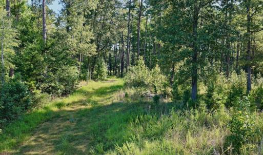 Photo #11 of Off of Lewis Mill Road, Clarksville, VA 2.5 acres