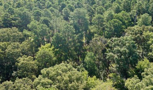 Photo #15 of Off of Lewis Mill Road, Clarksville, VA 2.5 acres