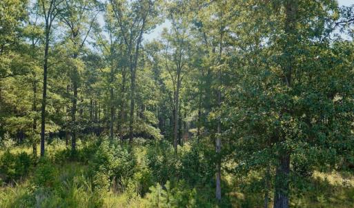 Photo #16 of Off of Lewis Mill Road, Clarksville, VA 2.5 acres