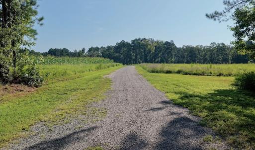 Photo #4 of Off of Lewis Mill Road, Clarksville, VA 2.5 acres