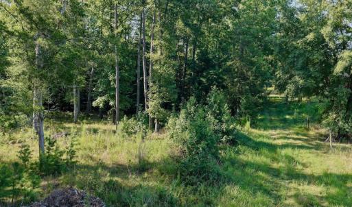Photo #5 of Off of Lewis Mill Road, Clarksville, VA 2.5 acres