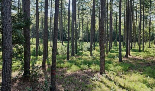 Photo #8 of Off of Lewis Mill Road, Clarksville, VA 2.5 acres