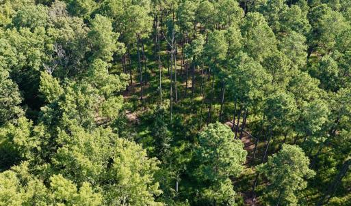 Photo #22 of Off of Lewis Mill Road, Clarksville, VA 2.5 acres
