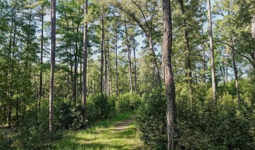 Photo #24 of Off of Lewis Mill Road, Clarksville, VA 2.5 acres