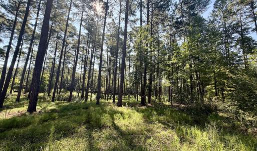 Photo #36 of Off of Lewis Mill Road, Clarksville, VA 2.5 acres