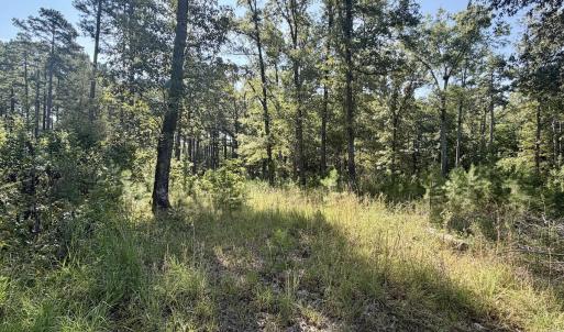 Photo #37 of Off of Lewis Mill Road, Clarksville, VA 2.5 acres