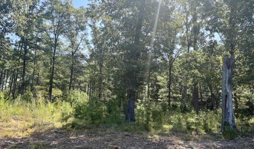 Photo #38 of Off of Lewis Mill Road, Clarksville, VA 2.5 acres
