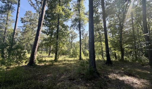 Photo #39 of Off of Lewis Mill Road, Clarksville, VA 2.5 acres