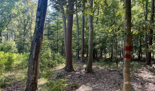 Photo #40 of Off of Lewis Mill Road, Clarksville, VA 2.5 acres