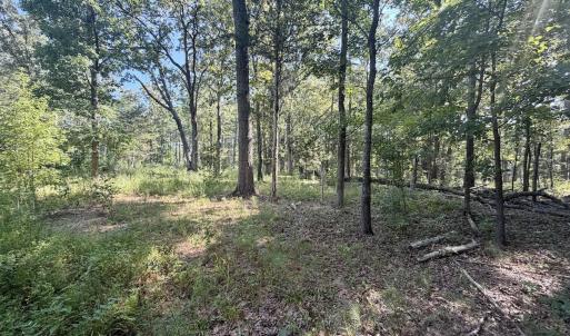 Photo #41 of Off of Lewis Mill Road, Clarksville, VA 2.5 acres