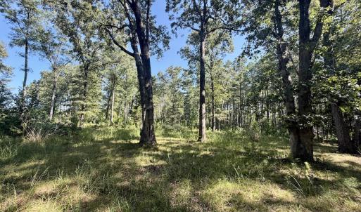 Photo #42 of Off of Lewis Mill Road, Clarksville, VA 2.5 acres