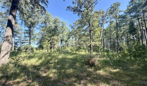 Photo #43 of Off of Lewis Mill Road, Clarksville, VA 2.5 acres