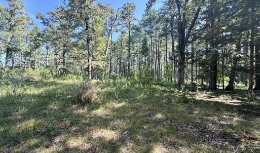 Photo #44 of Off of Lewis Mill Road, Clarksville, VA 2.5 acres