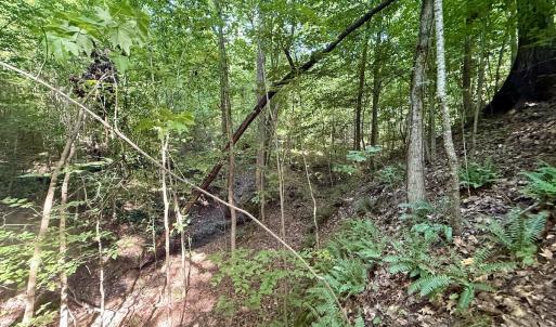 Photo #18 of Off of Piney Grove rd, Kernersville, NC 26.5 acres