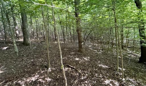 Photo #19 of Off of Piney Grove rd, Kernersville, NC 26.5 acres