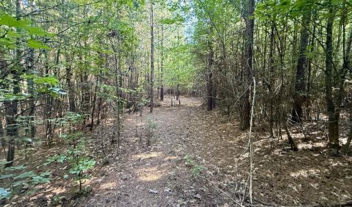 Photo #2 of Off of Piney Grove rd, Kernersville, NC 26.5 acres
