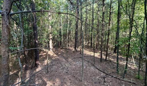 Photo #3 of Off of Piney Grove rd, Kernersville, NC 26.5 acres