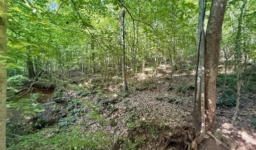 Photo #6 of Off of Piney Grove rd, Kernersville, NC 26.5 acres